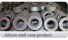 Silicon stell core product